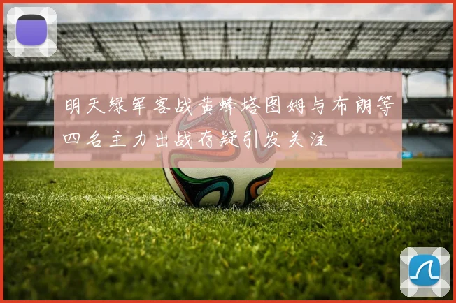 明天绿军客战黄蜂塔图姆与布朗等四名主力出战存疑引发关注