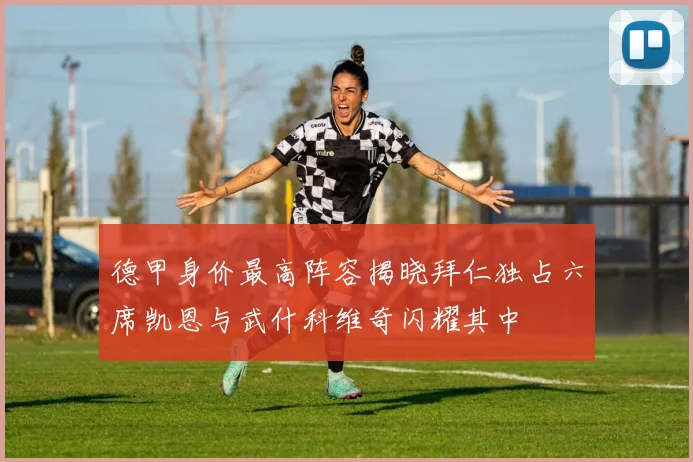 德甲身价最高阵容揭晓拜仁独占六席凯恩与武什科维奇闪耀其中